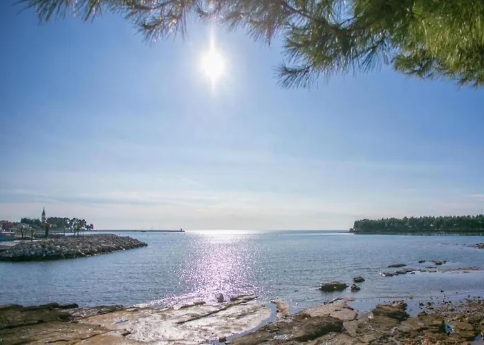 Villa Elegant In Novigrad Novigrad Istria