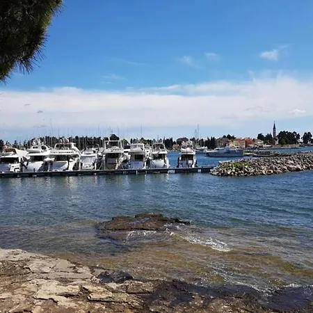 Pleasant In Novigrad With Private Pool בית נופש