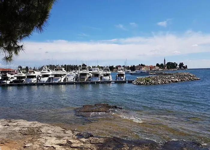 Pleasant In Novigrad With Private Pool בית נופש