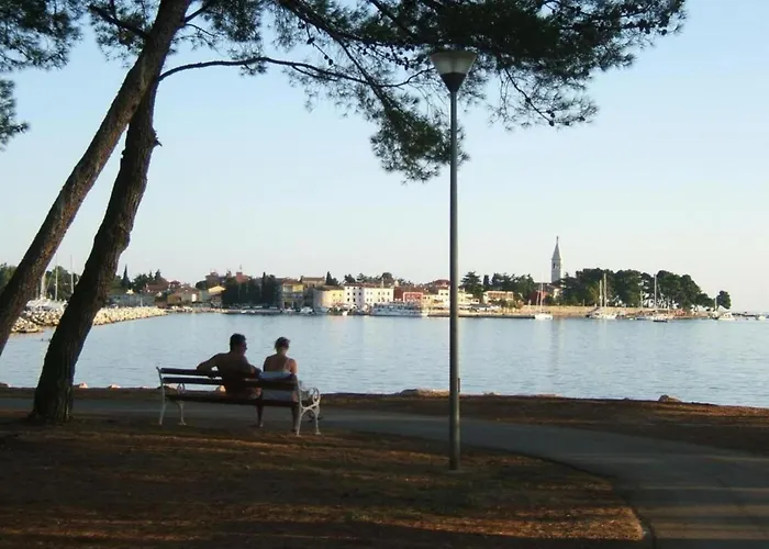 Pleasant In Novigrad With Private Pool Casa de Férias