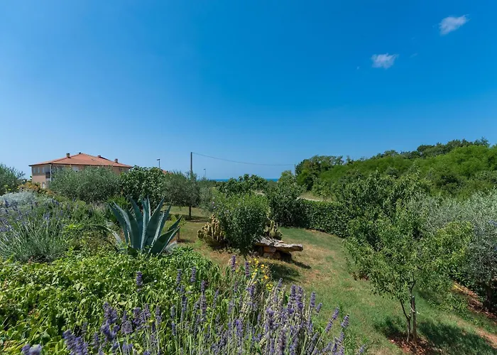 Pleasant In Novigrad With Private Pool Casa de Férias Novigrad Istria