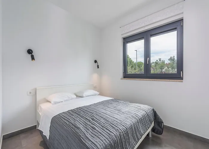 Casa de Férias Pleasant In Novigrad With Private Pool
