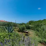 Pleasant In Novigrad With Private Pool بيت للعطل Novigrad Istria