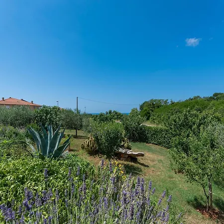 Pleasant In Novigrad With Private Pool 別荘 Novigrad Istria