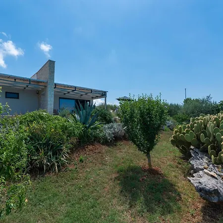 Pleasant In Novigrad With Private Pool 別荘