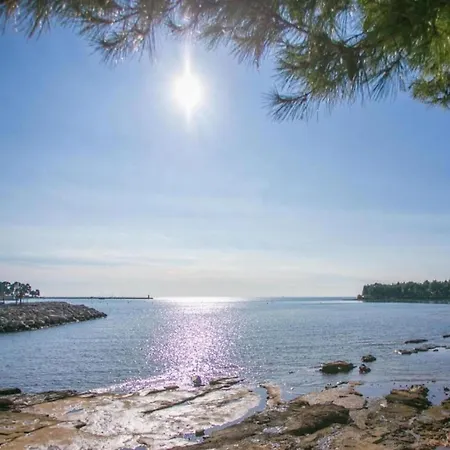 Pleasant In Novigrad With Private Pool Novigrad Istria