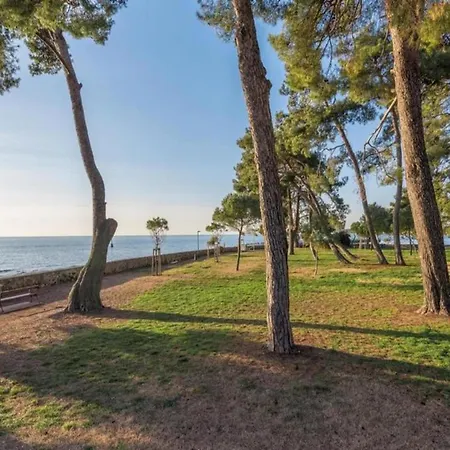 Pleasant In Novigrad With Private Pool Novigrad Istria