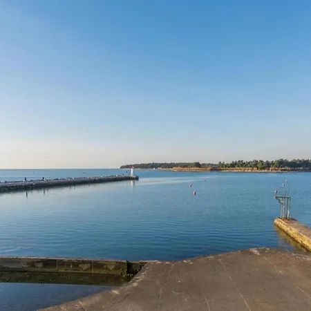 Prázdninový dům Pleasant In Novigrad With Private Pool *
