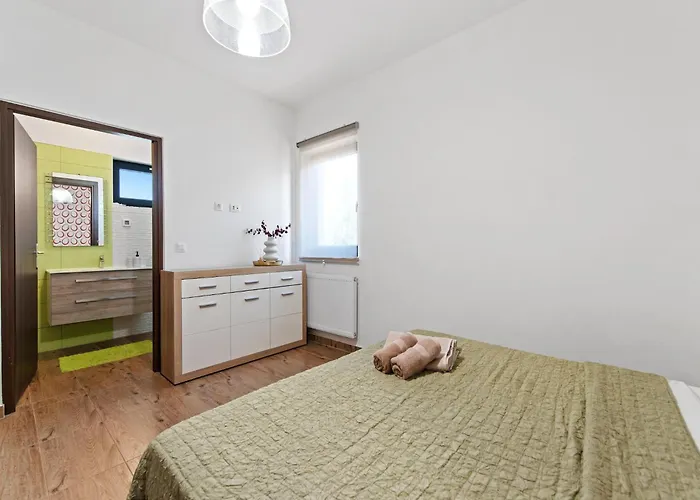 Pleasant In Novigrad With Private Pool Ferienhaus