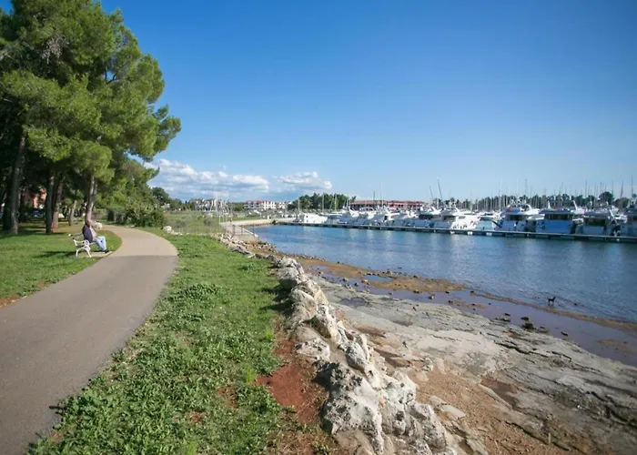 Pleasant In Novigrad With Private Pool Novigrad Istria